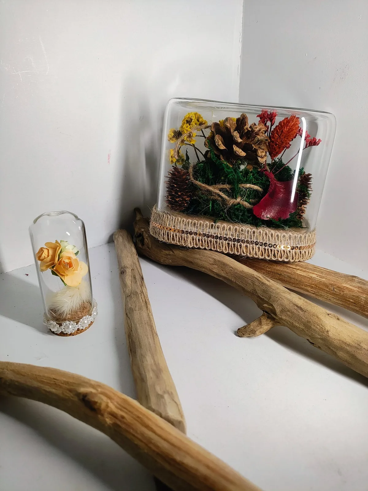 Composition floral sous cloche