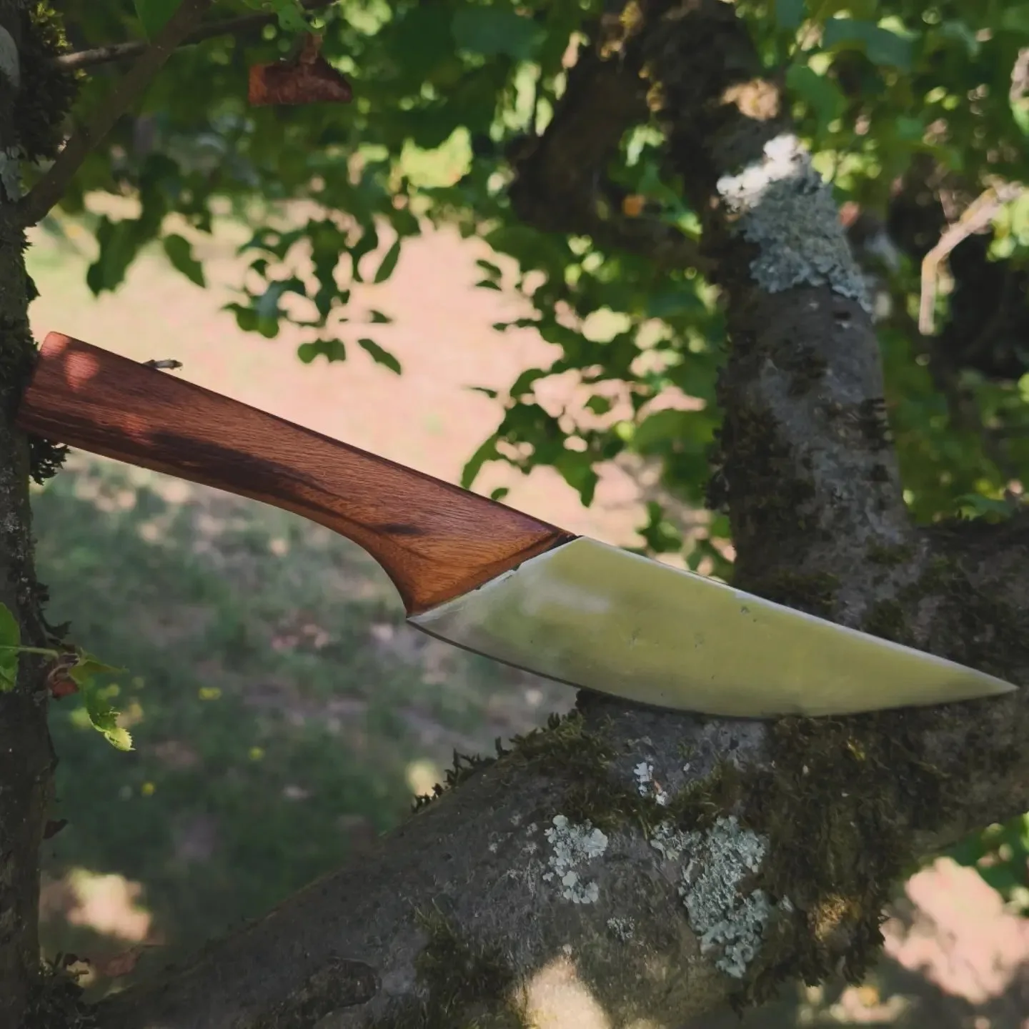 Couteau de cuisine : Grand couteau de cuisine