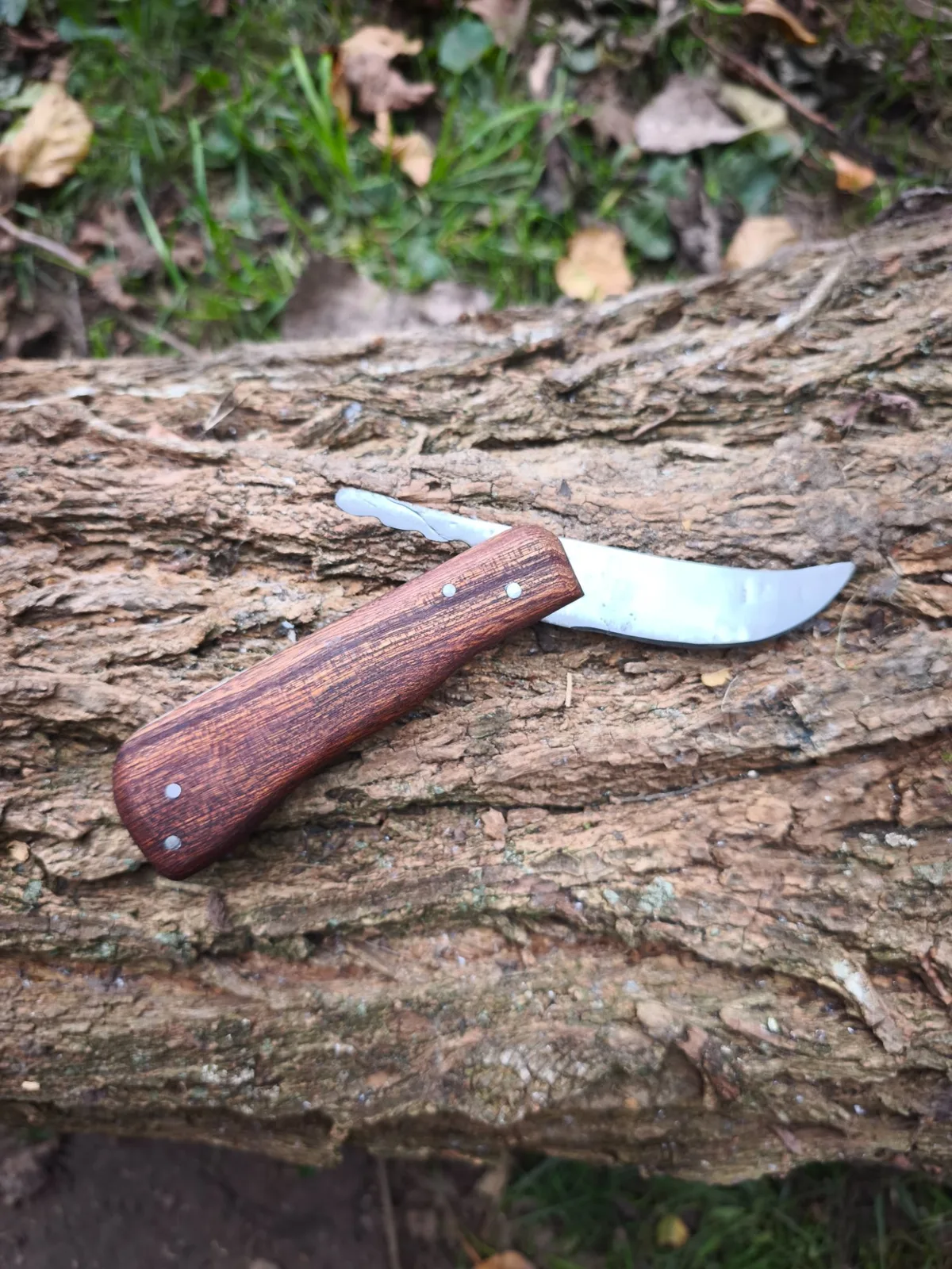 Couteau pliant courbé : Idéal pour les randonnées ou pour couper le saucisson