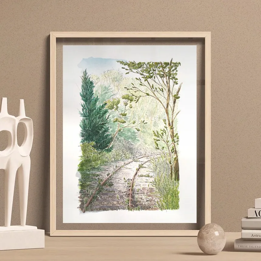 Illustrations des Combrailles, d'Auvergne