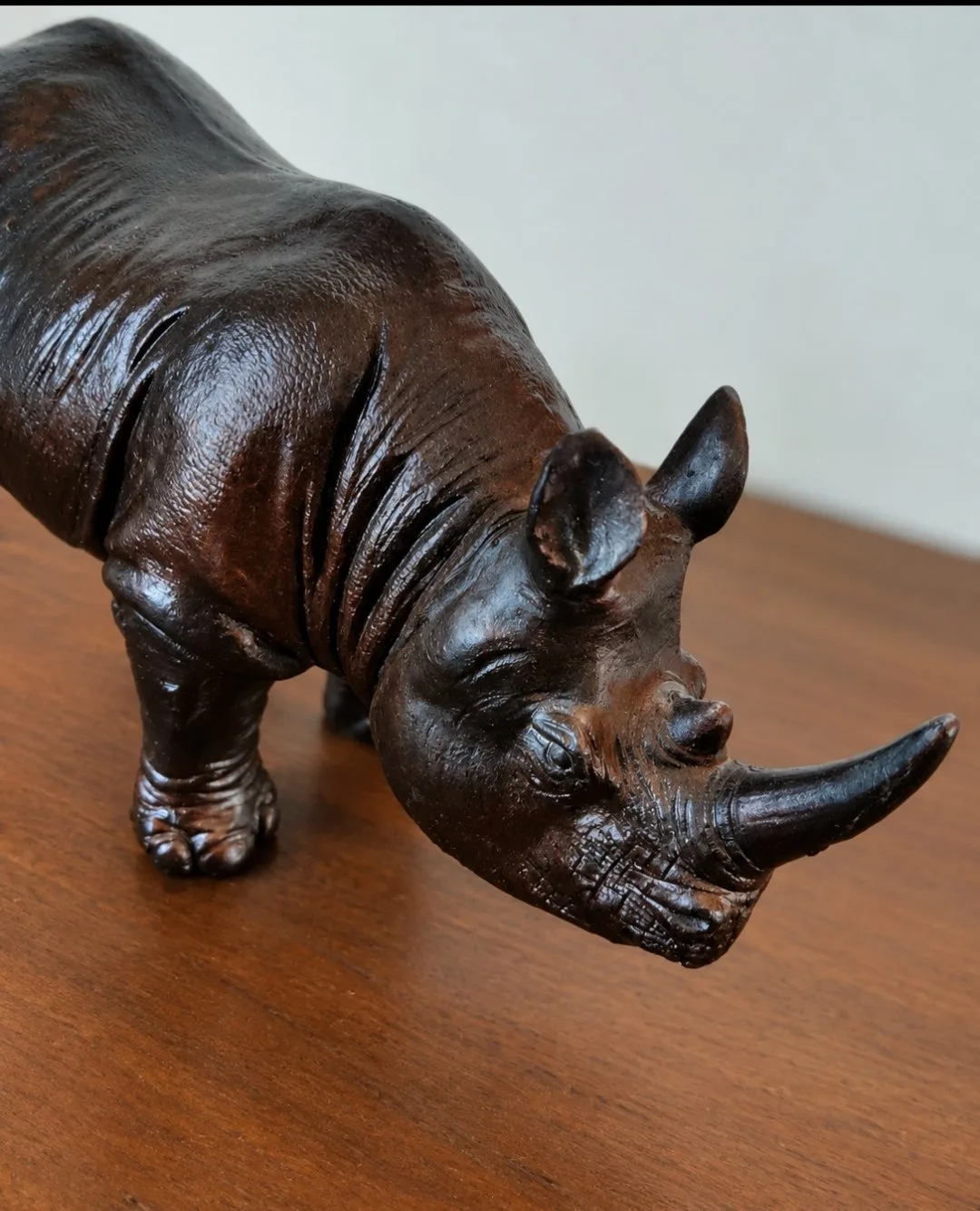 Rhinocéros